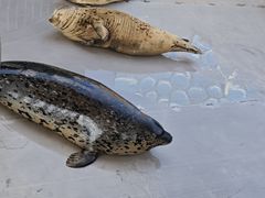 -华夏文旅海洋公园