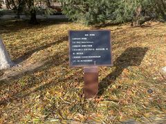 -元大都城垣遗址公园