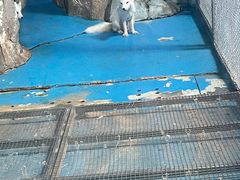 -泉城欧乐堡海洋极地世界