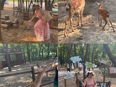 -南戴河国际娱乐中心