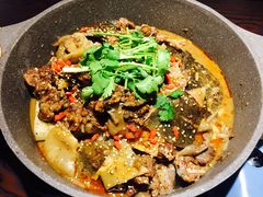 湖塘甲鱼-甲大帅·甲鱼·椰子鸡主题餐厅(唐家店)