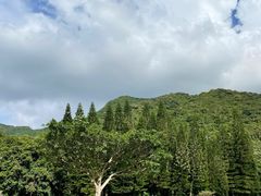 -深圳仙湖植物园
