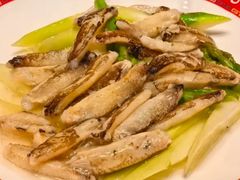 -新光酒家·河豚·海鲜·蟹料理(浦东店)