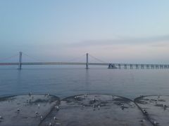 -星海湾跨海大桥