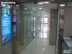-申普宠物医院·心脏介入·心血管微创(总院)