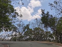 -梧桐山风景名胜区