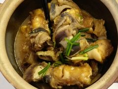 -龙溪海鲜酒家(溪涌店)