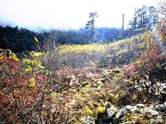 -海螺沟风景区