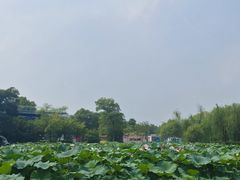 -石湖景区