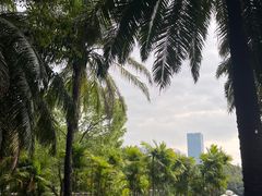 -深圳龙潭公园
