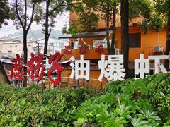 -恋拐子油爆虾·家常菜
