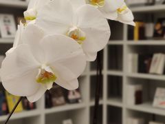 -二酉书店TOYOU BOOKS