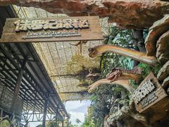 -长鹿旅游休博园