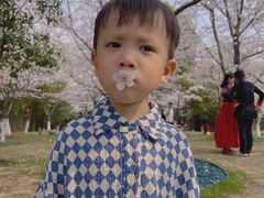 -堤角公园