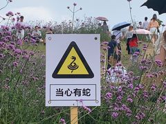 -光明小镇欢乐田园