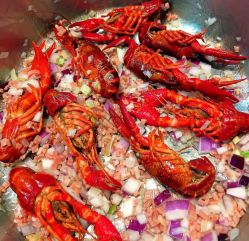 -安利上海体验馆