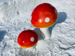 -大同万龙白登山国际滑雪场