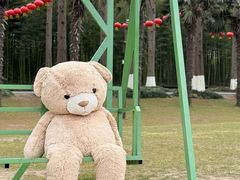 -黄海国家森林公园