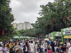 -荔湾湖公园