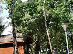 -深圳湾公园(南山区)