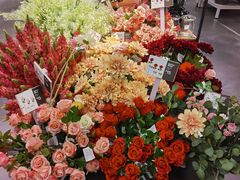 -宜家家居(哈尔滨商场店)