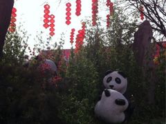 android_upload_pic-太原动物园