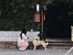 -豆舞咖啡(民乐路店)