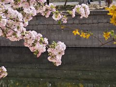 -海棠花溪(元大都城垣遗址公园)