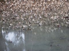 -四川大学(华西校区)