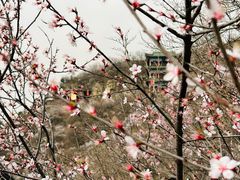 -神农山景区