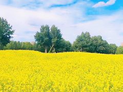 -长白岛森林公园