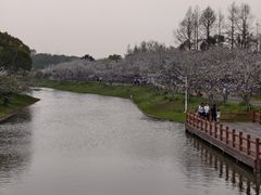 -上海海湾国家森林公园