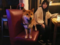 -M-3 PUB(创智天地店)