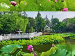 -成都市文化公园