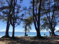 -东姑阿都拉曼海洋公园