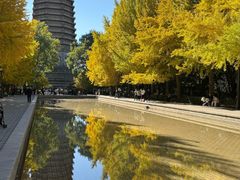 -玲珑塔公园