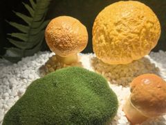 -慢丽江·云南野生菌土鸡锅(西山店)