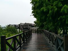 -高子水居
