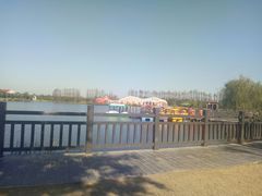 -上海长兴岛郊野公园