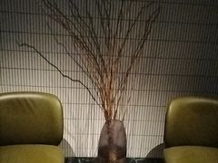 -涟LIAN·泰式按摩·MASSAGE·SPA(华强北店)