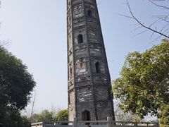 -上海佘山国家森林公园天马山园