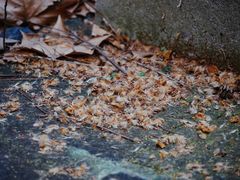 -颐和路民国时期公馆风貌区