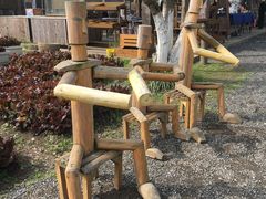 -田园东方蜜桃村的田野营地