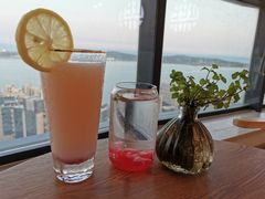 -柴犬小屋·柴餐厅·狗咖食堂(金鼎广场店)