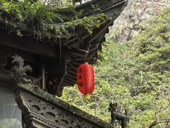 -石台牯牛降景区