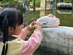 -灵玲国际马戏城