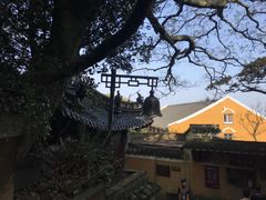 -普陀山风景区-佛顶山