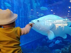 -成都浩海立方海洋公园