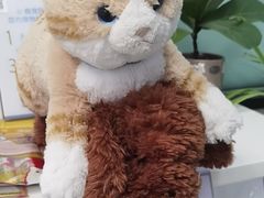 -爱妮康宠物医院·干细胞免疫细胞·肿瘤·心脏(张江店)