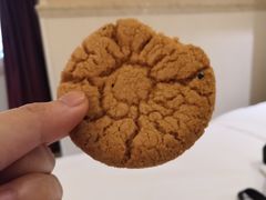 -闻酥园(青羊区人民中路店)